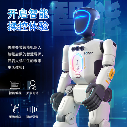 YDJ新款仿真关节智能编程机器人可录音互动唱歌跳舞电动玩具男孩